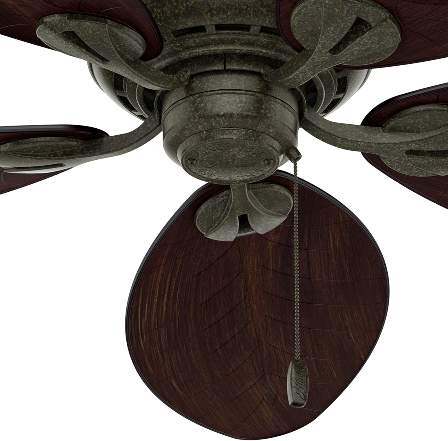 Hunter Fan 54 inch Contemporary Provencal Gold Outdoor Ceiling Fan and Pull Chain (Renewed)