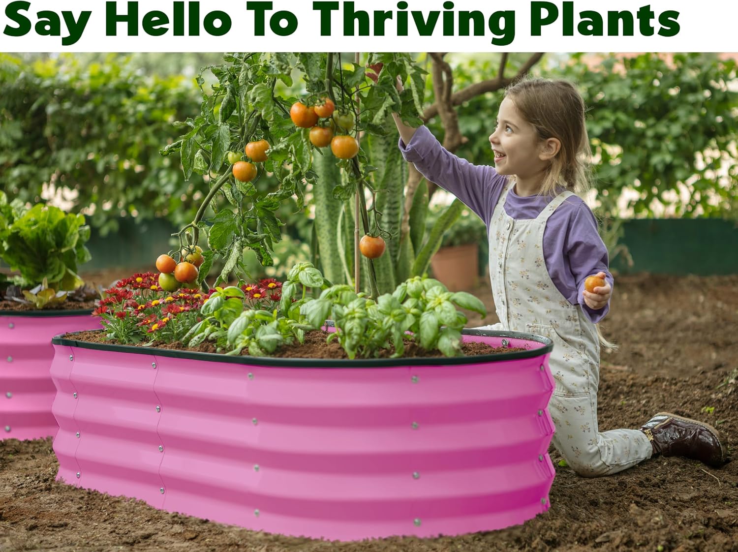 Plant & Plot Galvanized Raised Garden Beds Outdoor // Planter Raised Beds for Gardening, Vegetables, Flowers // Large Metal Garden Box (Pink) // Tool-Free Assembly