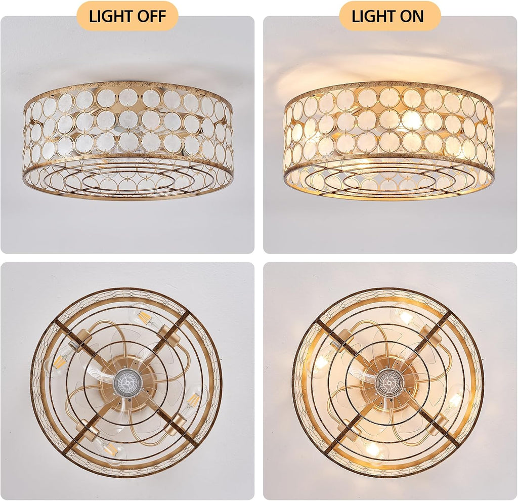 DDLLDESHI Capiz Fandelier Ceiling Fan with Light,20' Boho Caged Ceiling Fan with Light, Bldeless Enclosed Fan Lights Ceiling Fixtures for Bedroom Living Room Kitchen(Coastal Shell Style,White Oyster)
