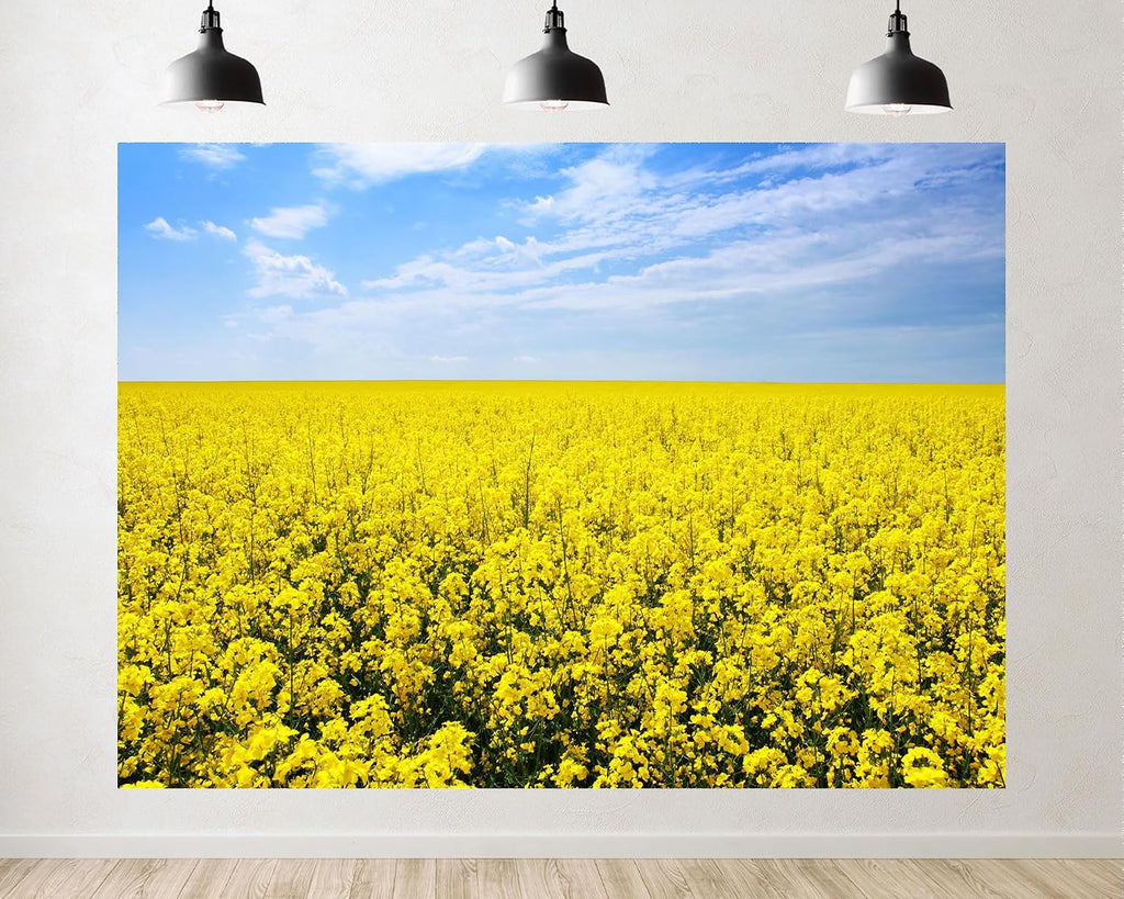 Trykid 20x10ft Golden Flower Field Backdrop Expansive Yellow Blooms Clear Blue Sky Photography Background Countryside Event Tapestry Party Decoration Photo Studio Prop Fabric