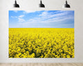 Trykid 20x10ft Golden Flower Field Backdrop Expansive Yellow Blooms Clear Blue Sky Photography Background Countryside Event Tapestry Party Decoration Photo Studio Prop Fabric