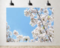 Trykid 20x10ft White Cherry Blossoms Backdrop Clear Blue Sky Spring Bloom Photography Background Romantic Wedding Event Tapestry Party Decoration Photo Studio Prop Fabric