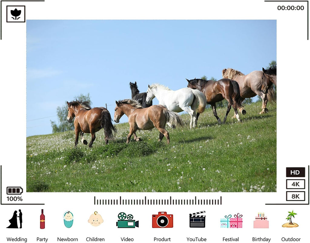 Trykid 20x10ft Wild Horses Green Hill Backdrop Galloping Herd Clear Blue Sky Lush Pasture Equestrian Scene Photography Background Tapestry Party Decoration Photo Studio Prop Fabric