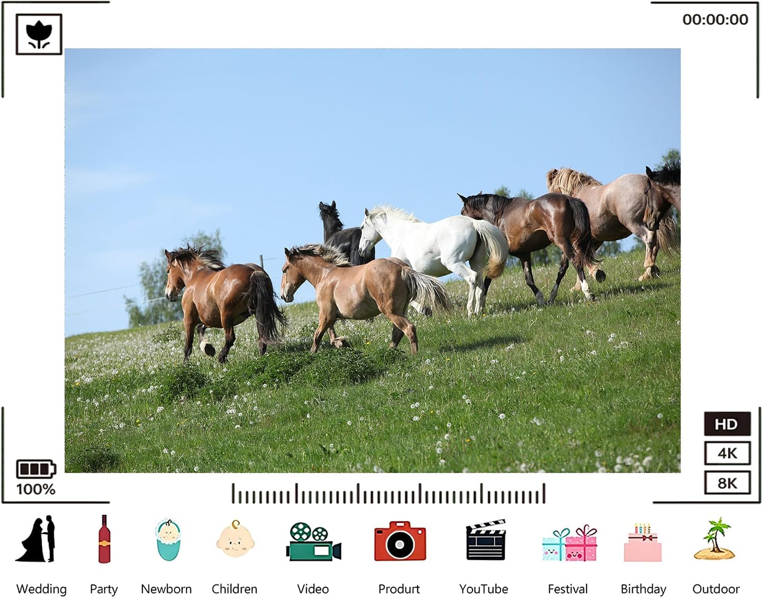 Trykid 20x10ft Wild Horses Green Hill Backdrop Galloping Herd Clear Blue Sky Lush Pasture Equestrian Scene Photography Background Tapestry Party Decoration Photo Studio Prop Fabric