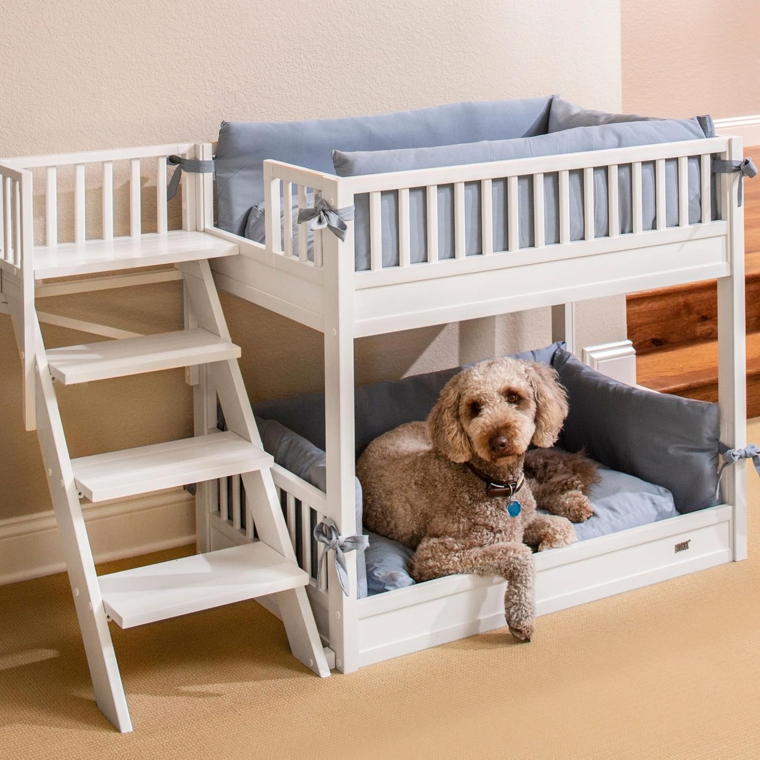 New Age Pet ECOFLEX Aspen Dog Bunk Bed in Antique White, Memory Foam Cushions, Wide Stairs, Non Toxic, Easy Assembly