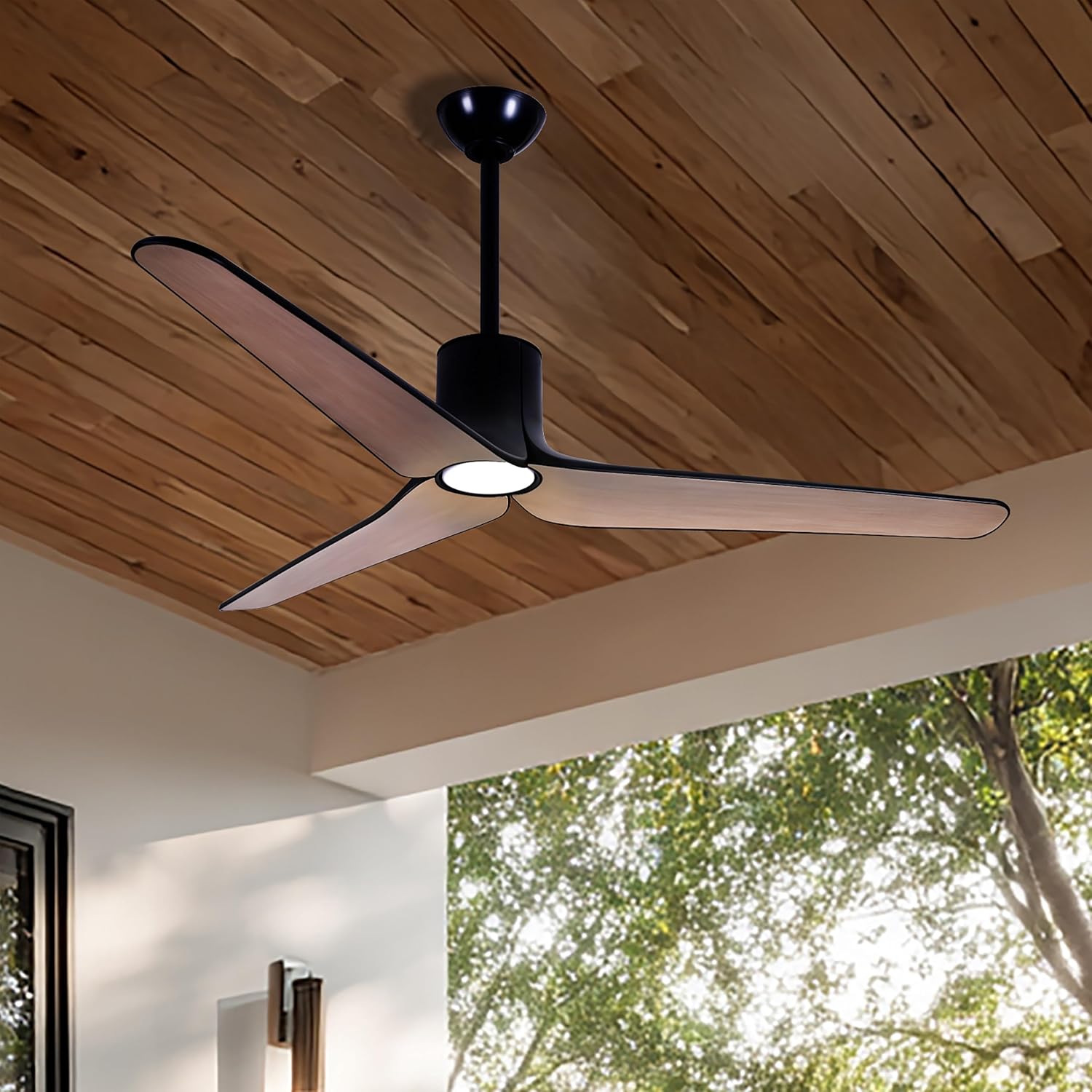 MINKA-AIRE F669L-CL/ASW Tempri 56' 3-Blade LED Indoor/Outdoor Ceiling Fan in Coal Black and Ashwood Finish Blades with Etched Lens