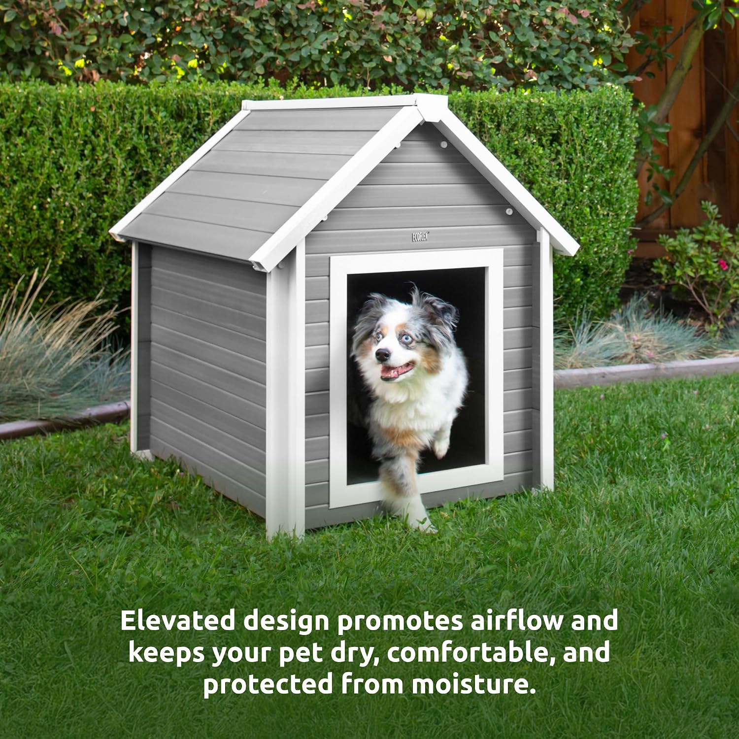 New Age Pet ECOFLEX Bunk Style Dog House for Large Dogs Weather Resistant, Non Toxic, Easy Assembly in Grey