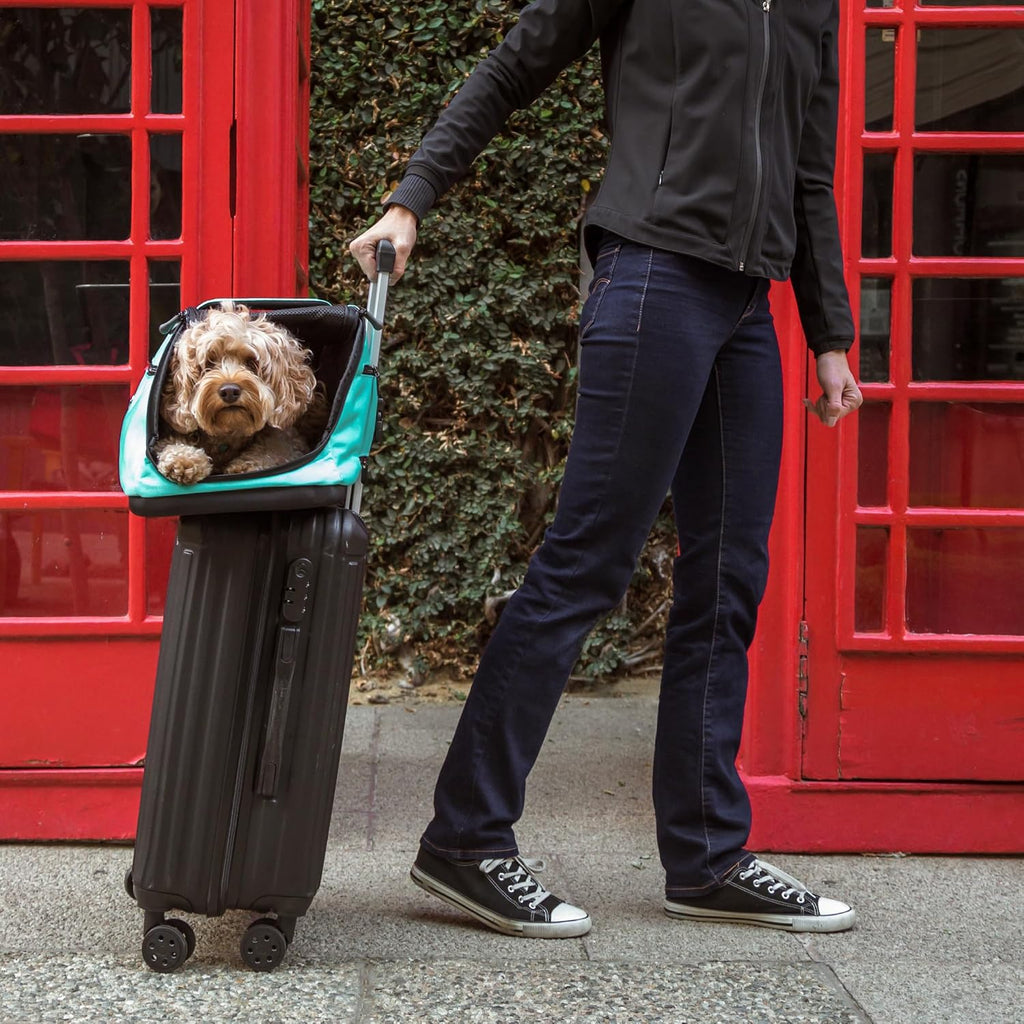 Sleepypod Air Pet Carrier Robin Egg Blue