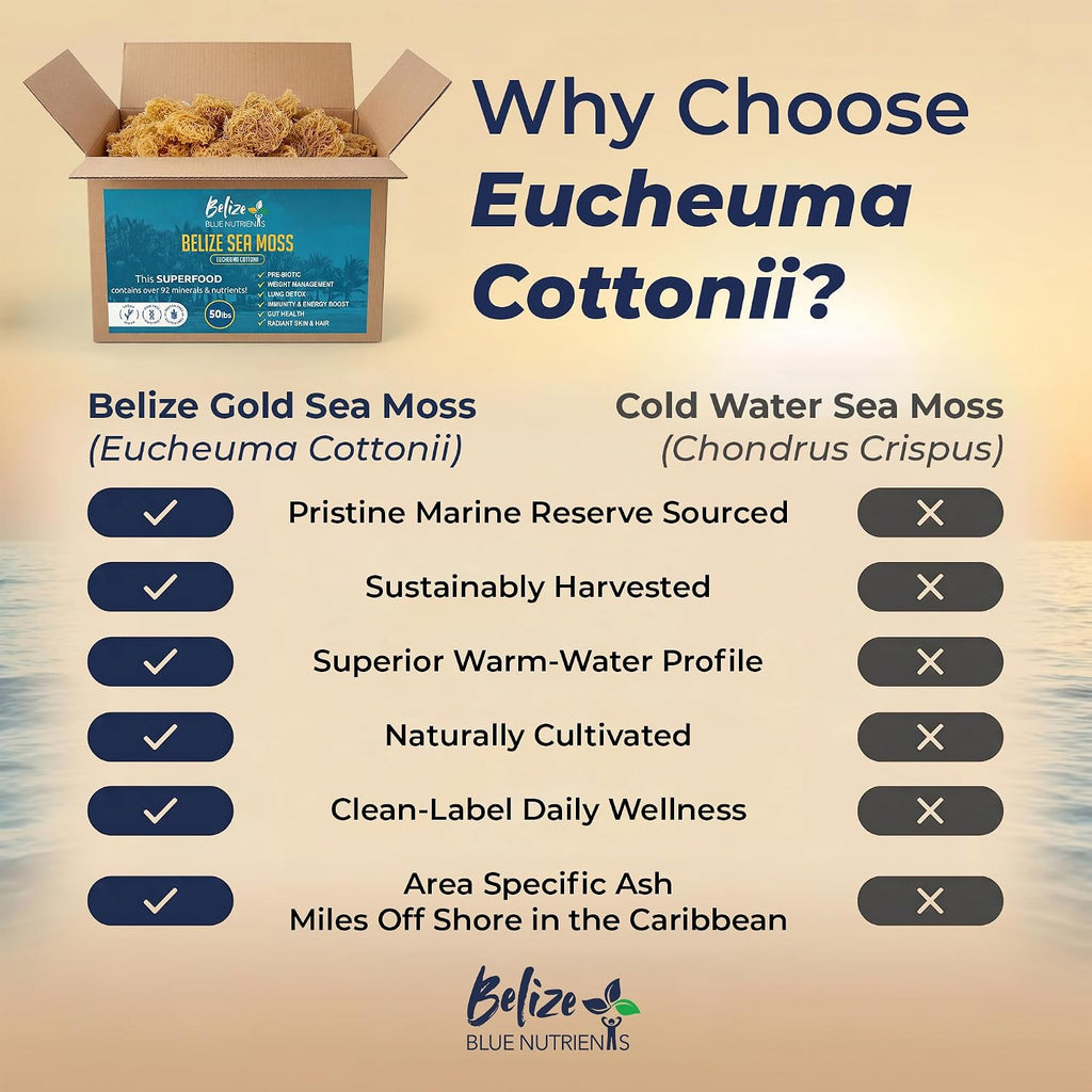 Gold Sea Moss – Sustainably Harvested Organic Eucheuma Cottonii – Raw, Sun-Dried Caribbean Seamoss, 90+ Minerals for Thyroid, Digestion, Antioxidants, Skin & Energy - 50 lb