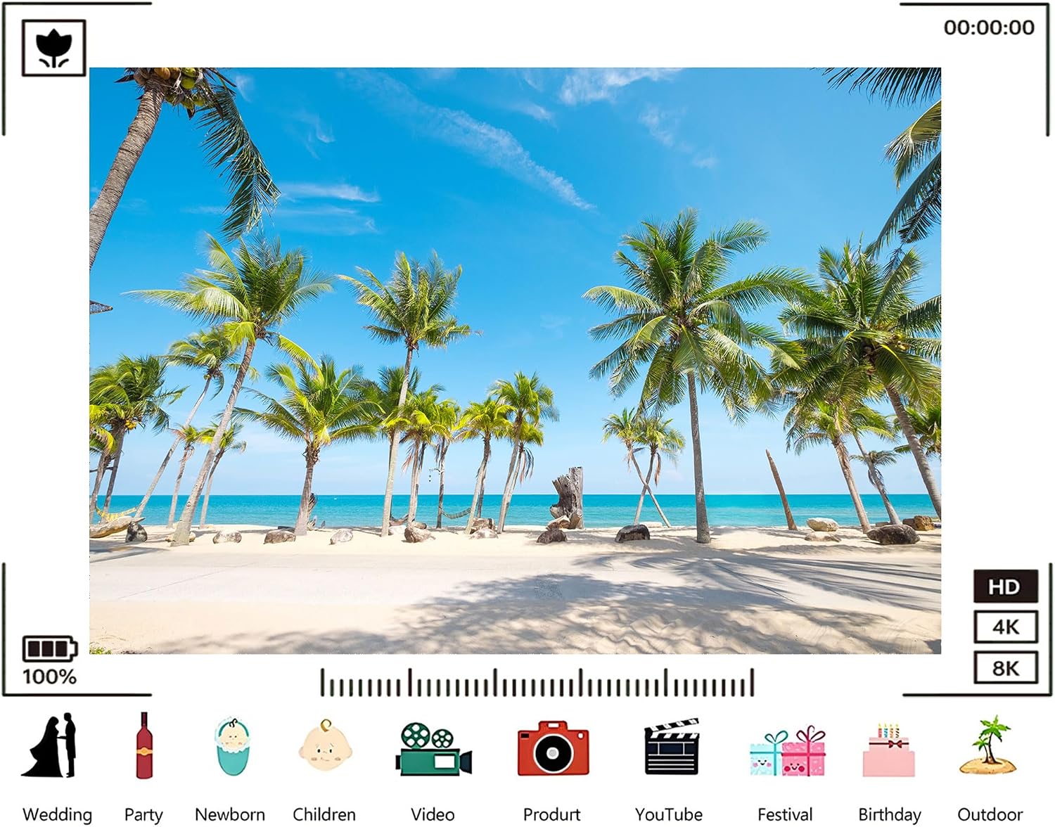 Trykid 20x10ft Tropical Palm Tree Beach Backdrop Clear Blue Sky White Sand Turquoise Water Lush Frond Paradise Photography Background Tapestry Party Decoration Photo Booth Prop Fabric