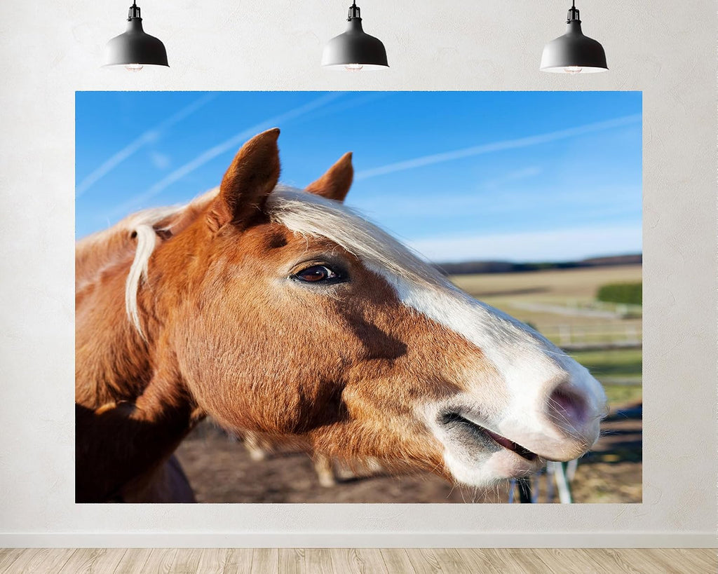 Trykid 20x10ft Chestnut Horse Portrait Backdrop Blaze Marking Clear Sky Rural Field Equestrian Photography Background Stable Tour Tapestry Party Decoration Photo Studio Prop Fabric
