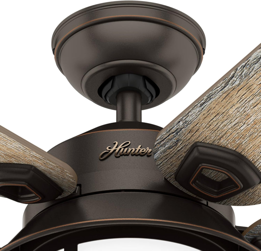 Hunter Fan 54 in. Outdoor Ceiling Fan with Light in Onyx Bengal (Renewed)