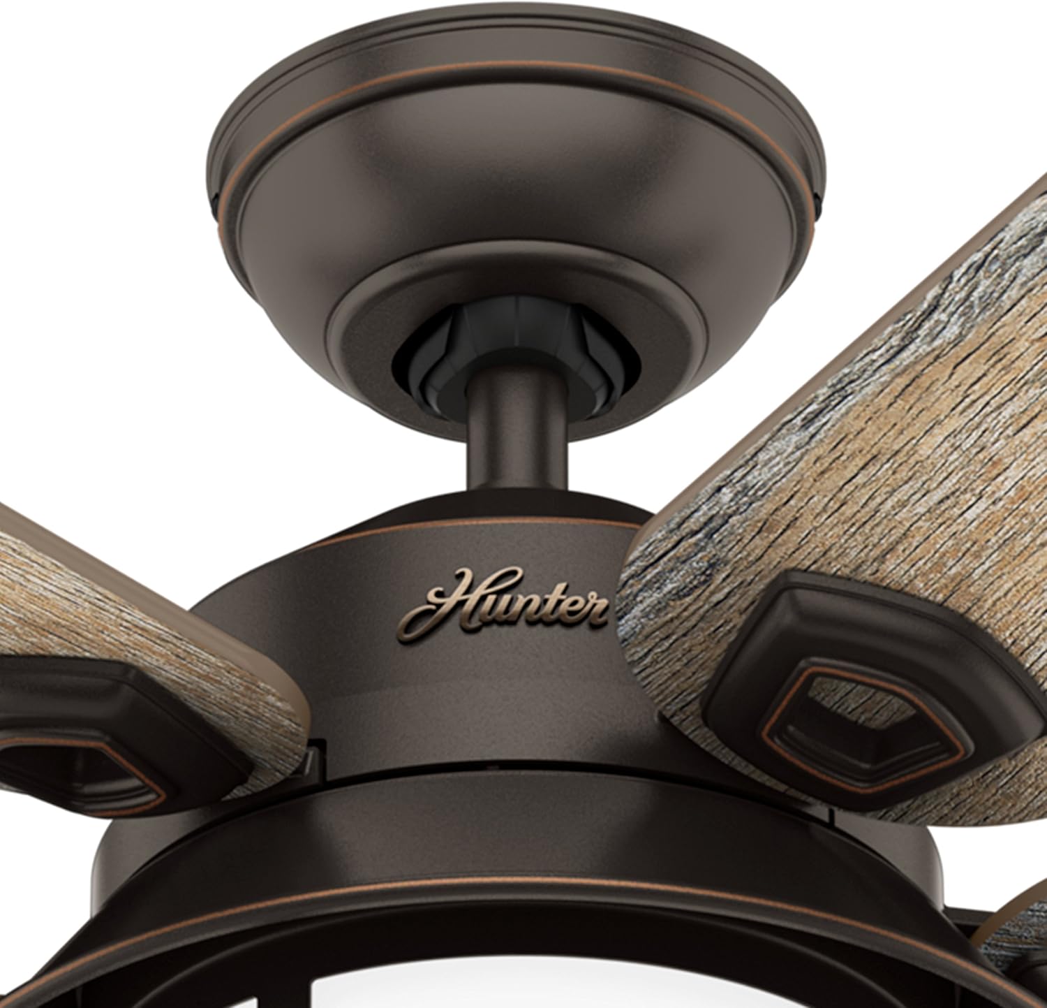 Hunter Fan 54 in. Outdoor Ceiling Fan with Light in Onyx Bengal (Renewed)
