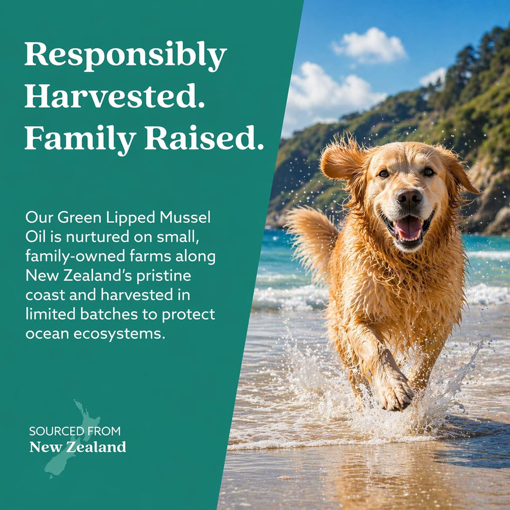 GLX3 Green Lipped Mussel Oil for Dogs | Joint & Hip Comfort Omega-3 Supplement | Ideal for All Dog Breeds and Ages | 3 Month Supply, 180 Gel Capsules w/Natural Ingredients