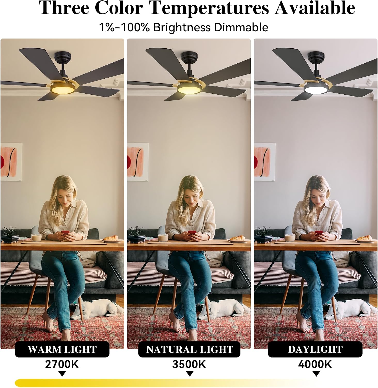 SMAAIR 52 Inch Black Ceiling Fan with Lights Remote Control and 10 Speed DC Motor, Low Profile Ceiling Fan with Dimmable Light works with Alexa/Google Assistant/Siri Shortcuts, 5 Blade, Black/Gold