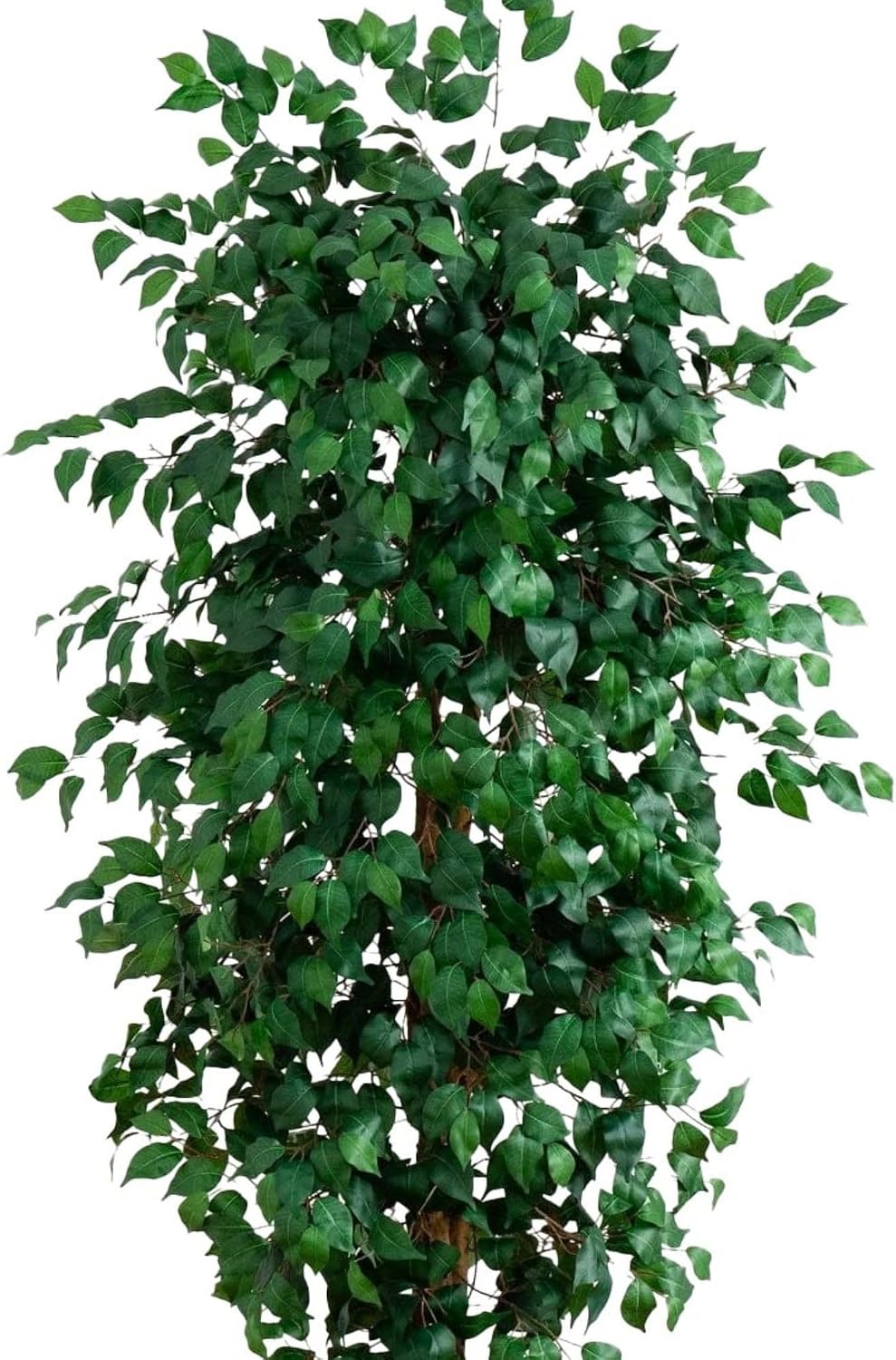 Nearly Natural 8ft Triple Trunk Artificial Ficus Tree with Natural Wood Trunks, Fake Tree for Indoor Home Décor, Faux Ficus Tree with Black Nursery Pot