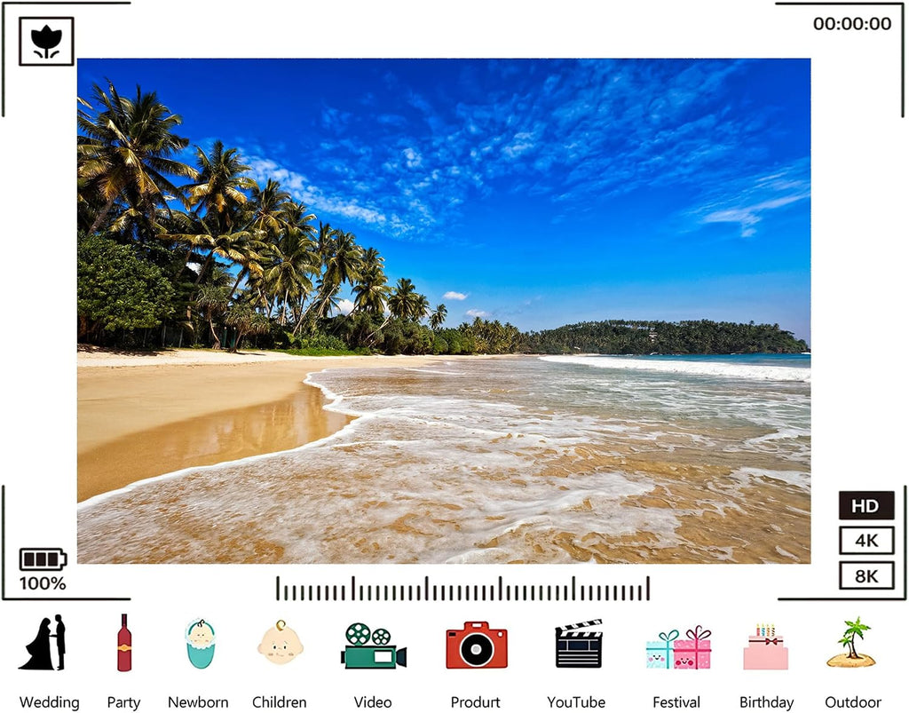 Trykid 20x10ft Tropical Beach Palm Backdrop Sunny Clear Pristine Photography Background Summer Vacation Tapestry Party Decoration Photo Studio Prop Fabric