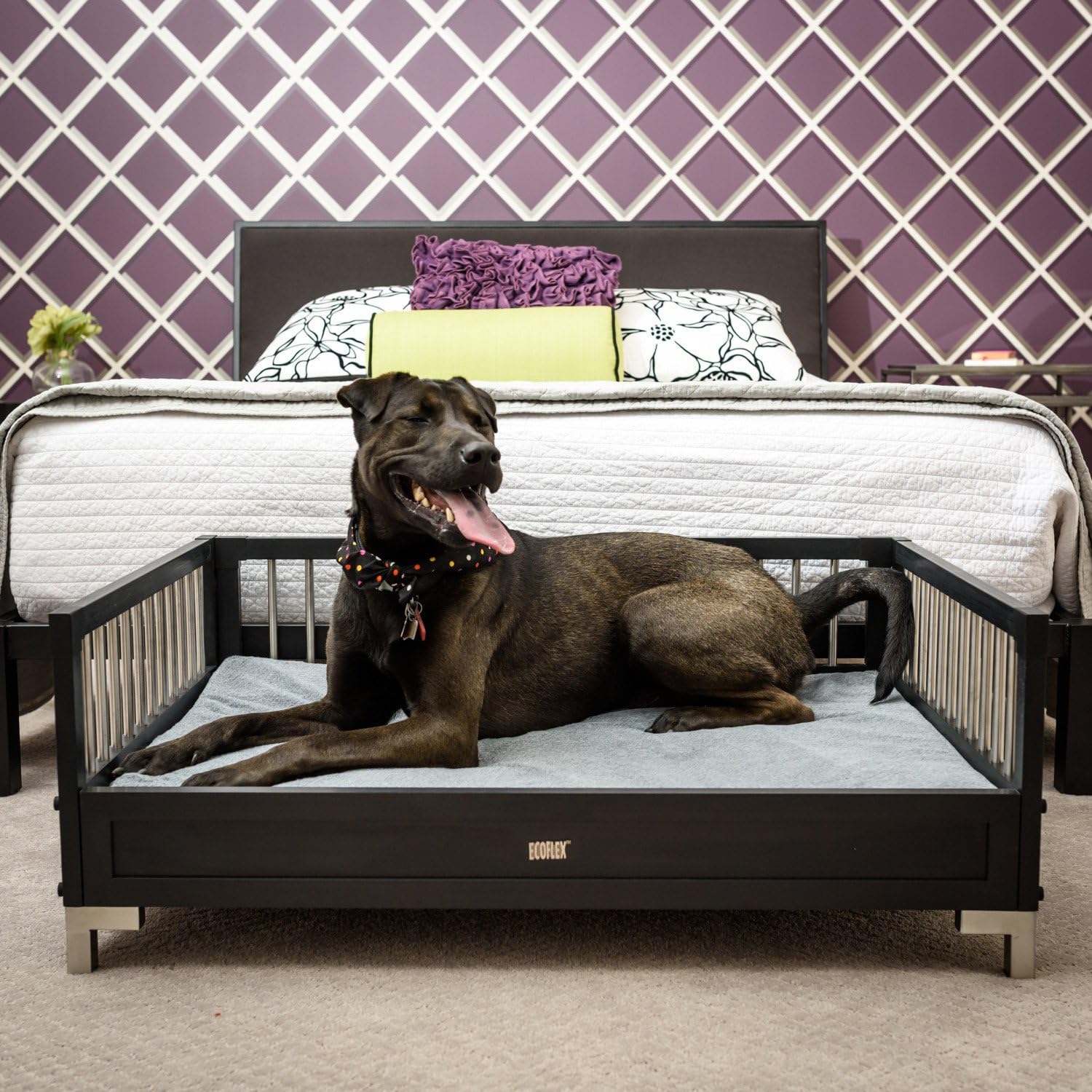 New Age Pet ecoFLEX Manhattan Raised Dog Bed w/Removable Cushion, Large, Espresso