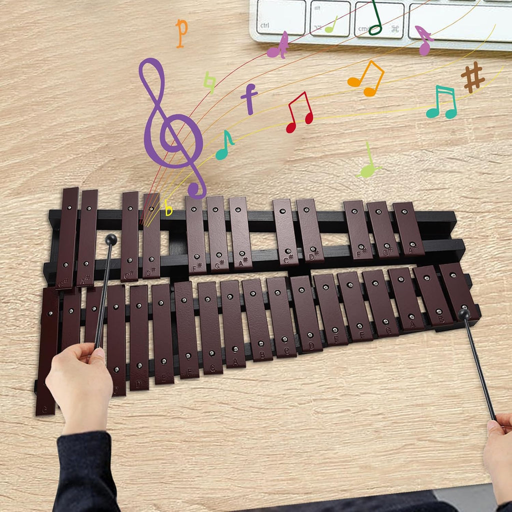 Foldable Glockenspiel Xylophone, 30 Note Glockenspiel, Xylophone 5mm Thickness Aluminum Bars Percussion Musical Instrument with Carrying Bag 2 Mallets Gift for Beginners Students