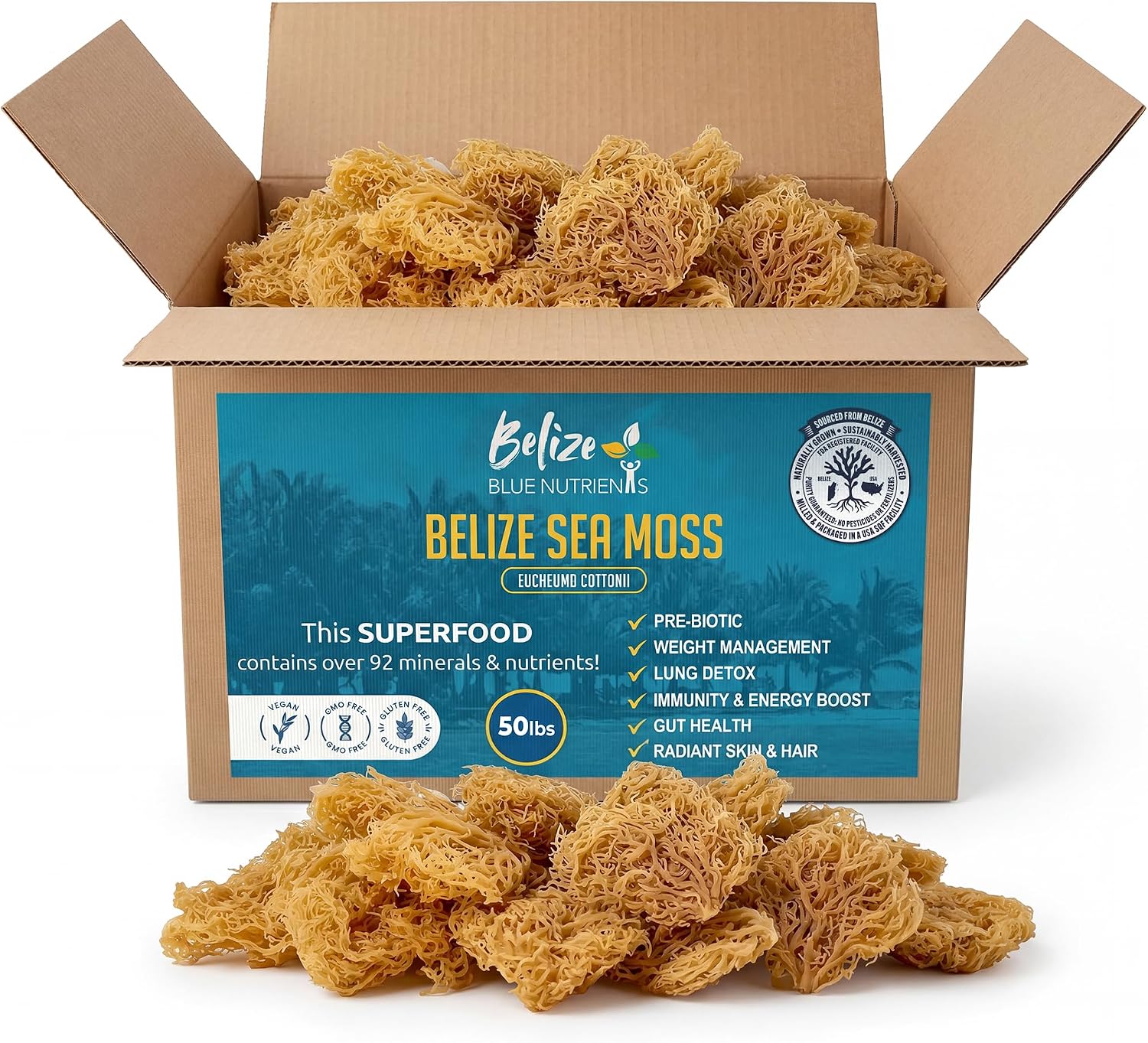 Gold Sea Moss – Sustainably Harvested Organic Eucheuma Cottonii – Raw, Sun-Dried Caribbean Seamoss, 90+ Minerals for Thyroid, Digestion, Antioxidants, Skin & Energy - 50 lb