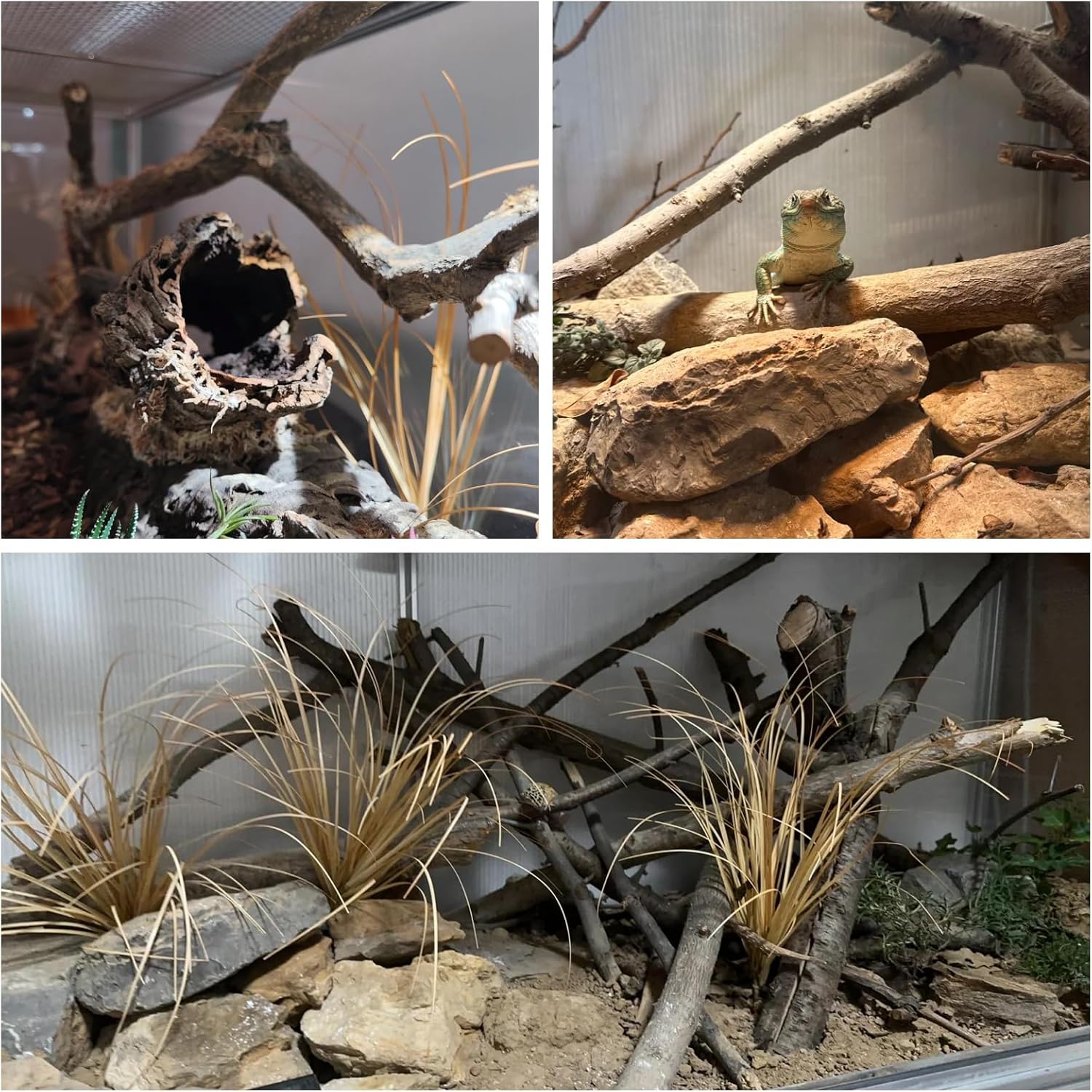 120 Gallon Bearded Dragon Tank, 48 x 24 x 24 Reptile Enclosure with Lockable Sliding Glass Doors and Top Screen Ventilation for Easy Maintenance