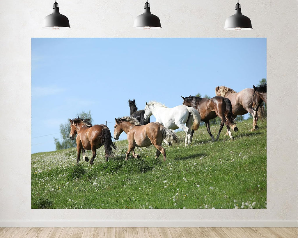 Trykid 20x10ft Wild Horses Green Hill Backdrop Galloping Herd Clear Blue Sky Lush Pasture Equestrian Scene Photography Background Tapestry Party Decoration Photo Studio Prop Fabric