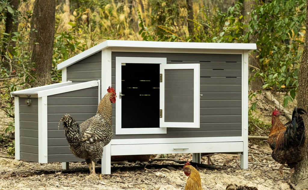 New Age Pet ECOFLEX Fontana Premier Chicken Barn, Weather Resistant Gray Coop with Easy Clean Pull Out Tray, Nesting Box, Hinged Roof, Easy No Tool Assembly for 2 to 4 Chickens