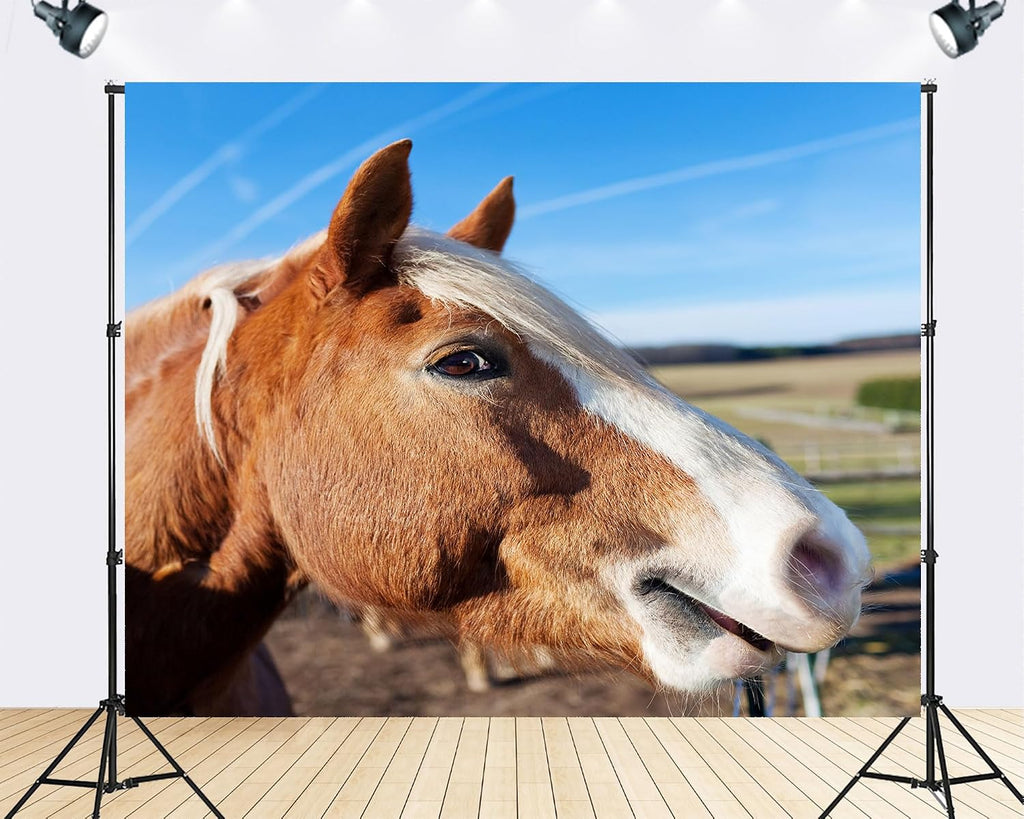 Trykid 20x10ft Chestnut Horse Portrait Backdrop Blaze Marking Clear Sky Rural Field Equestrian Photography Background Stable Tour Tapestry Party Decoration Photo Studio Prop Fabric