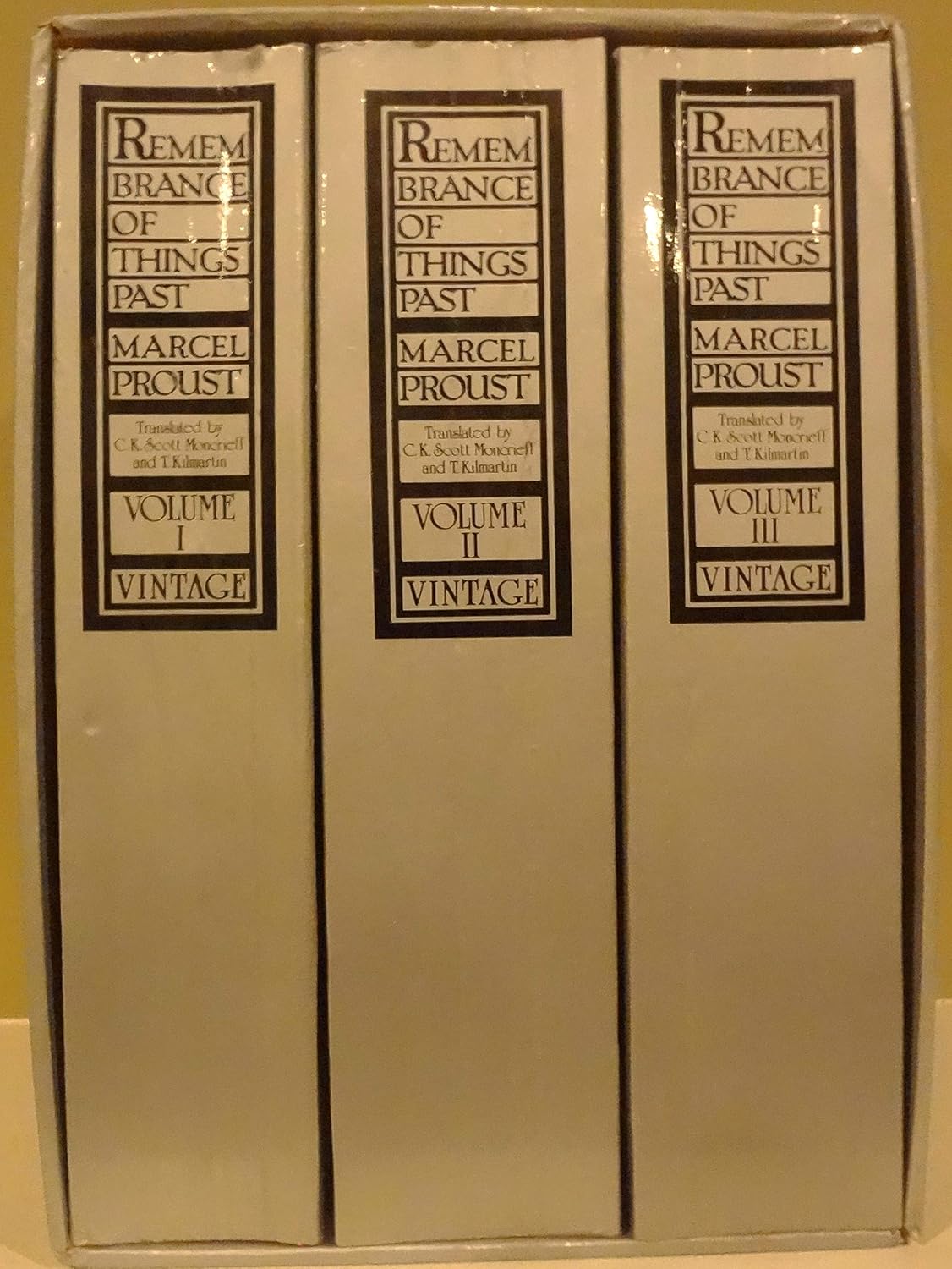 Remembrance of Things Past: 3 Volume Set
