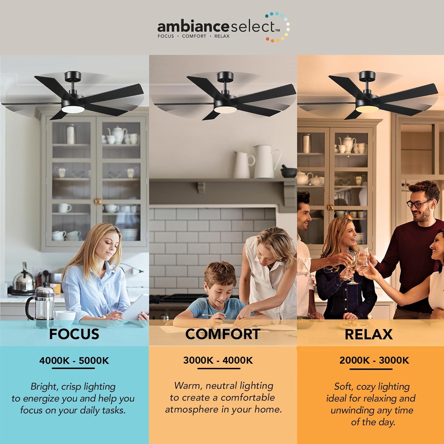 Globe Electric Veloria 52 in. Ceiling Fan with LED Light, Remote Control, WhisperQuiet DC Motor, 6 Speeds, Matte Black, Reversible Blades