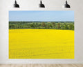 Trykid 20x10ft Golden Rapeseed Field Backdrop Expansive Blooms Lush Green Trees Clear Blue Sky Rural Serenity Photography Background Spring Tapestry Party Decoration Photo Studio Prop Fabric