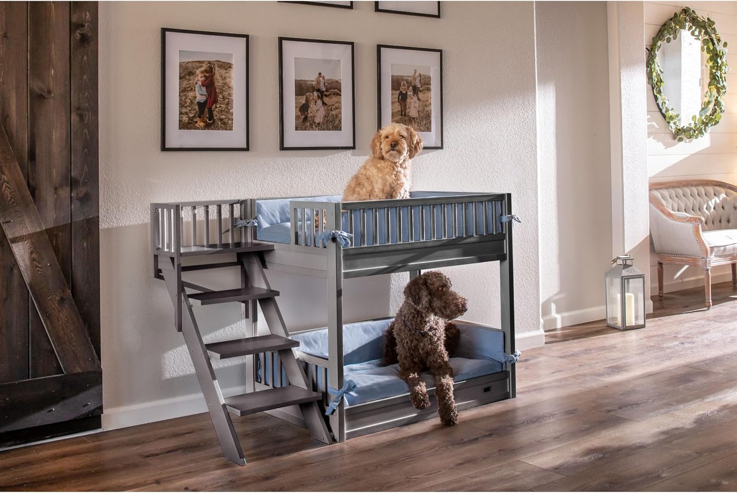 New Age Pet ECOFLEX Aspen Dog Bunk Bed in Grey, Memory Foam Cushions, Wide Stairs, Non Toxic, Easy Assembly