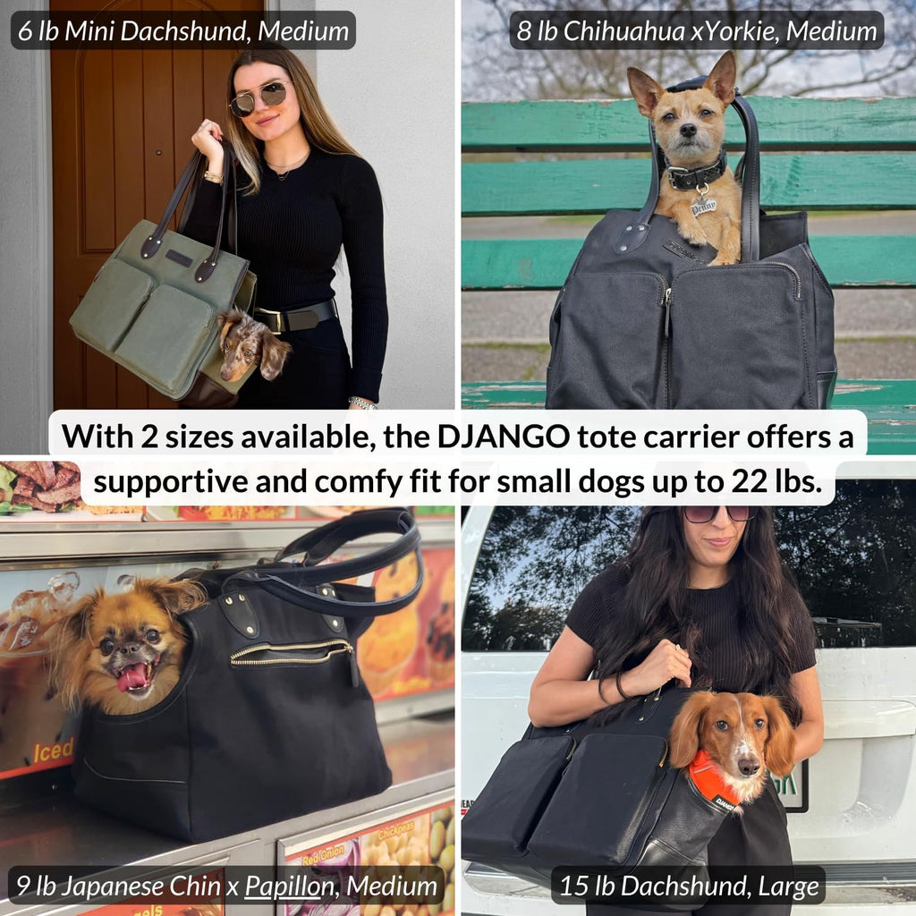 DJANGO Waxed Canvas & Leather Dog Carrier Tote Bag – Premium Soft-Sided Travel Dog Purse with Safety Leash, WR Lining, & Large Zipper Pockets – Everyday Pet Carrier for Small Dogs (Black, Medium)