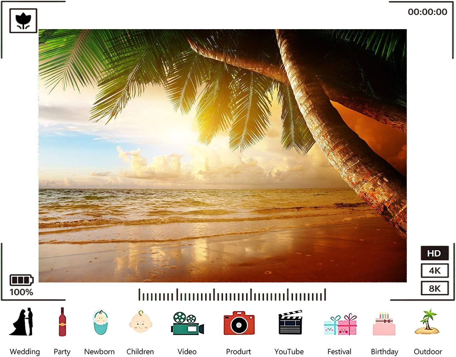Trykid 20x10ft Tropical Palm Beach Backdrop Crystal Clear Seaside Serene Coastal Paradise Sunset Photography Background Nature Decor Tapestry Party Decoration Photo Studio Prop Fabric