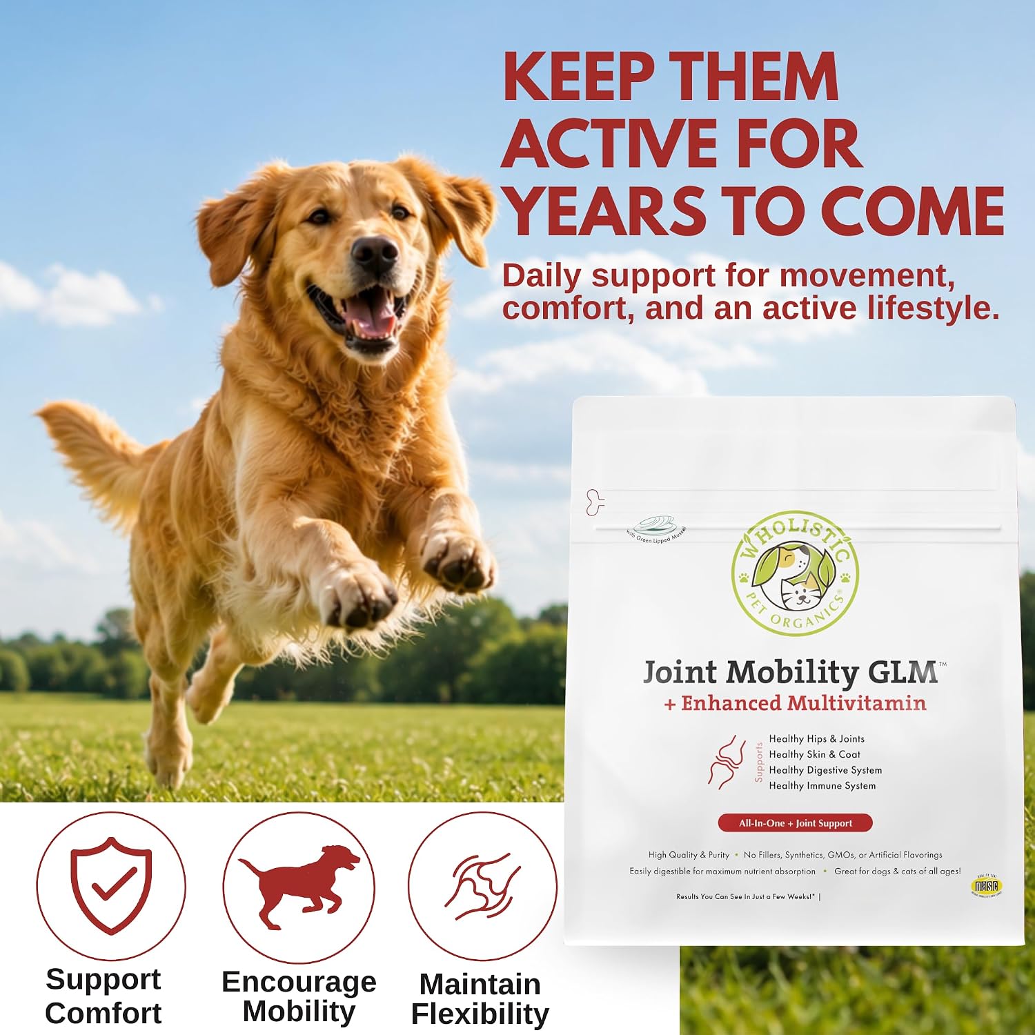 Wholistic Pet Organics - Hip and Joint Supplement for Dogs & Cats - Cat and Dog Joint Supplement - Green Lipped Mussels, Chondroitin, Glucosamine for Dogs & Cat Mobility Support - 4 Lb - 181 Scoops