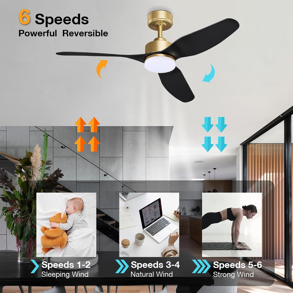 Hoenofly 48 Inch Smart Ceiling Fans with LED Lights Remote,Quiet DC Motor,Dimmable,Outdoor Indoor Gold Black Ceiling Fan Controlled by WIFI Alexa App,for Modern Bedroom Living Room Patio Porch