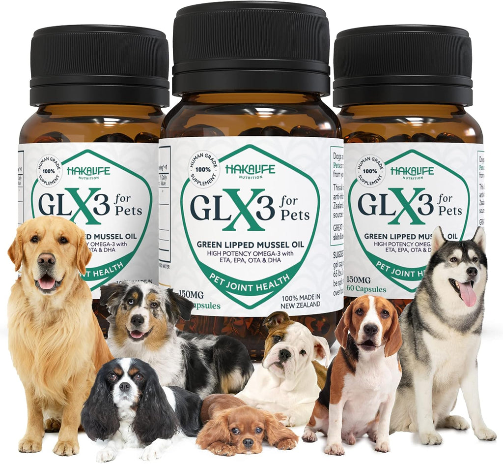 GLX3 Green Lipped Mussel Oil for Dogs | Joint & Hip Comfort Omega-3 Supplement | Ideal for All Dog Breeds and Ages | 3 Month Supply, 180 Gel Capsules w/Natural Ingredients