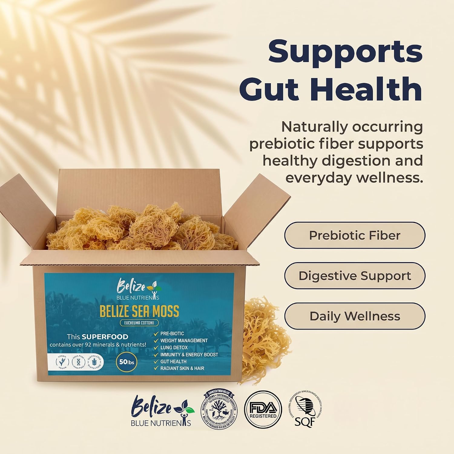 Gold Sea Moss – Sustainably Harvested Organic Eucheuma Cottonii – Raw, Sun-Dried Caribbean Seamoss, 90+ Minerals for Thyroid, Digestion, Antioxidants, Skin & Energy - 50 lb