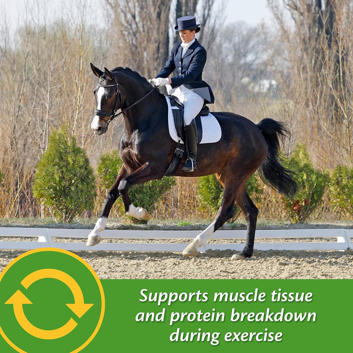 Farnam Vita Plus Balanced Multi-Vitamin & Mineral Horse Supplement, Provides Balanced Nutrition to Support Overall Health and Performance, 7.5 pounds, 60 Day Supply| (Pack of 4)