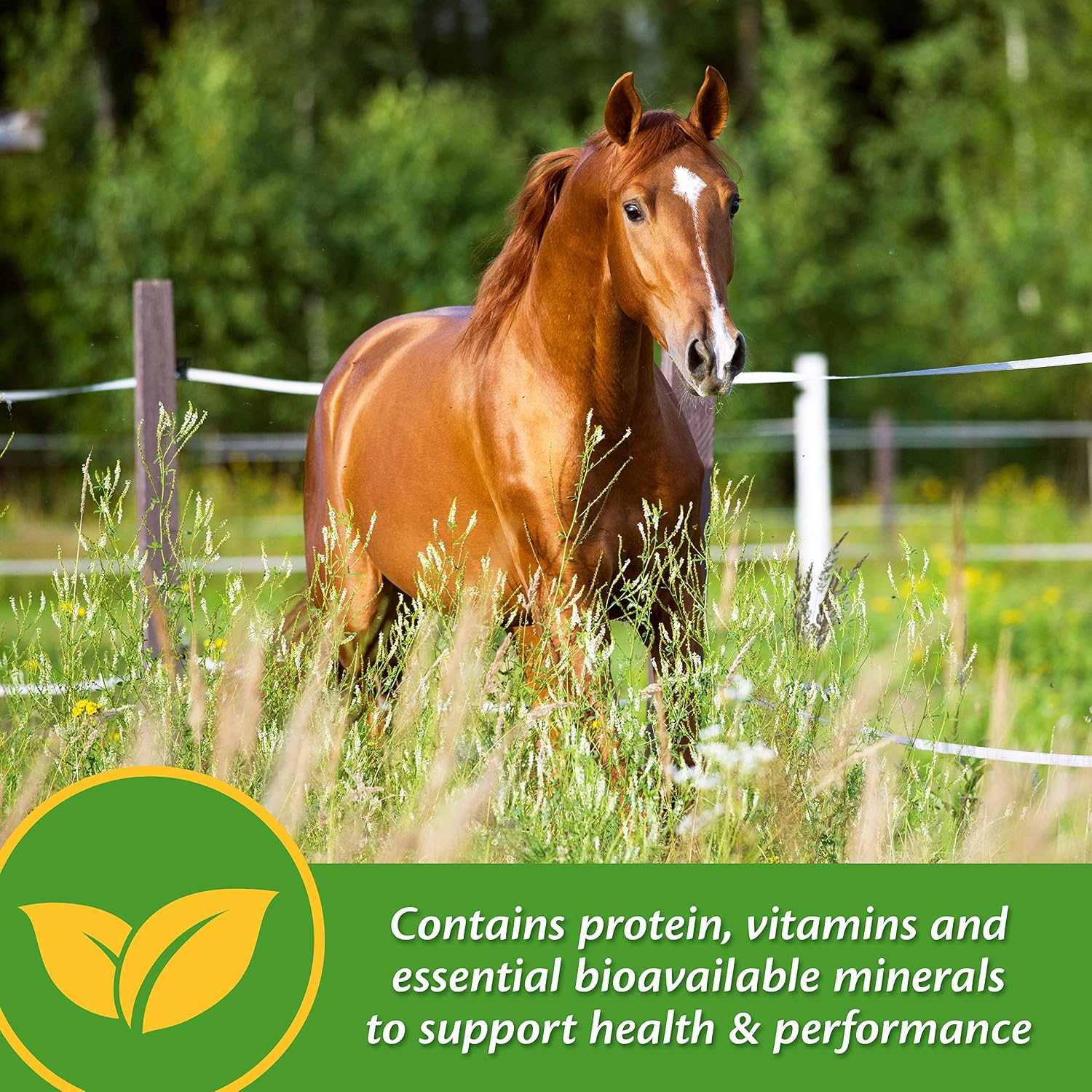 Farnam Vita Plus Balanced Multi-Vitamin & Mineral Horse Supplement, Provides Balanced Nutrition to Support Overall Health and Performance, 7.5 pounds, 60 Day Supply| (Pack of 4)