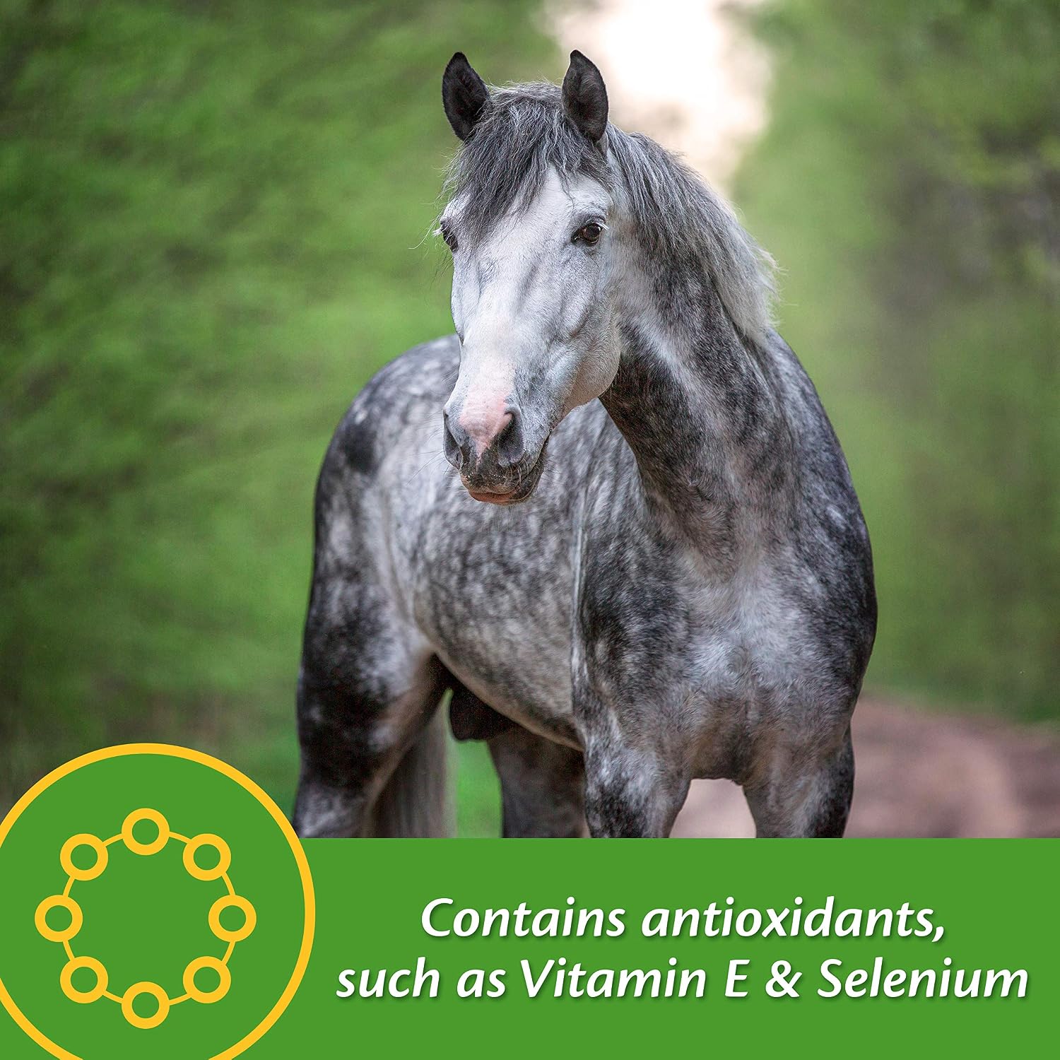 Farnam Vita Plus Balanced Multi-Vitamin & Mineral Horse Supplement, Provides Balanced Nutrition to Support Overall Health and Performance, 7.5 pounds, 60 Day Supply| (Pack of 4)