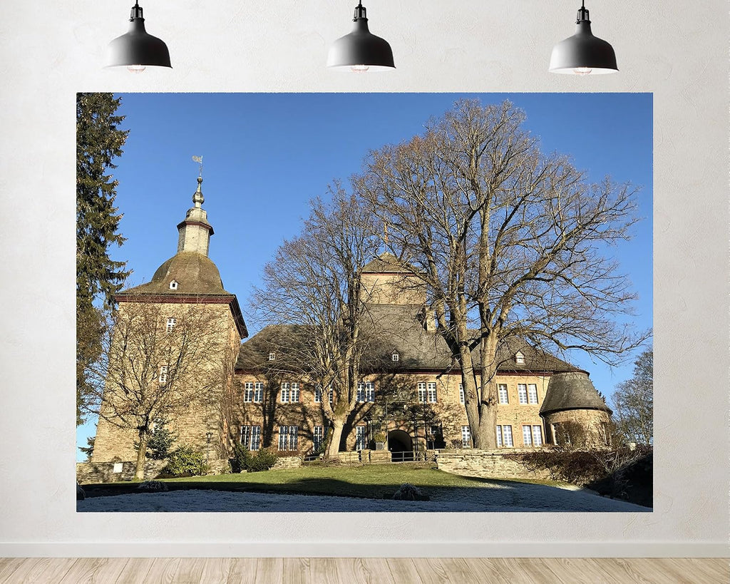 Trykid 20x10ft Historic Stone Castle Backdrop Clear Blue Sky Winter Trees Photography Background Heritage Travel Wedding Venue Tapestry Party Decoration Photo Studio Prop Fabric