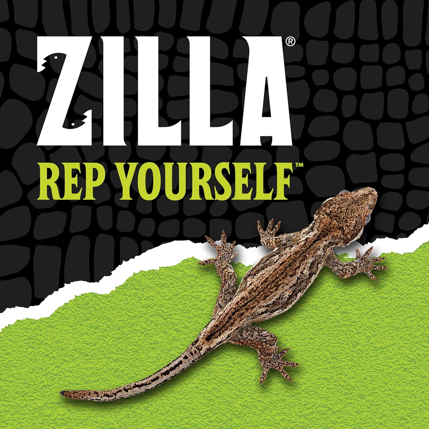 Zilla QuickBuild Reptile 65 Gallon Glass Terrarium Habitat with Sliding Door For Geckos, Snakes, Lizards, Frogs, Turtles, and Tortoises, 48' x 18' x 18'