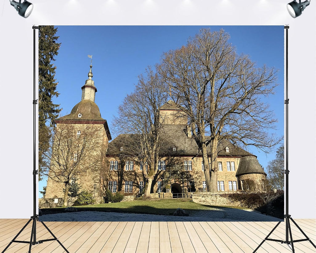 Trykid 20x10ft Historic Stone Castle Backdrop Clear Blue Sky Winter Trees Photography Background Heritage Travel Wedding Venue Tapestry Party Decoration Photo Studio Prop Fabric