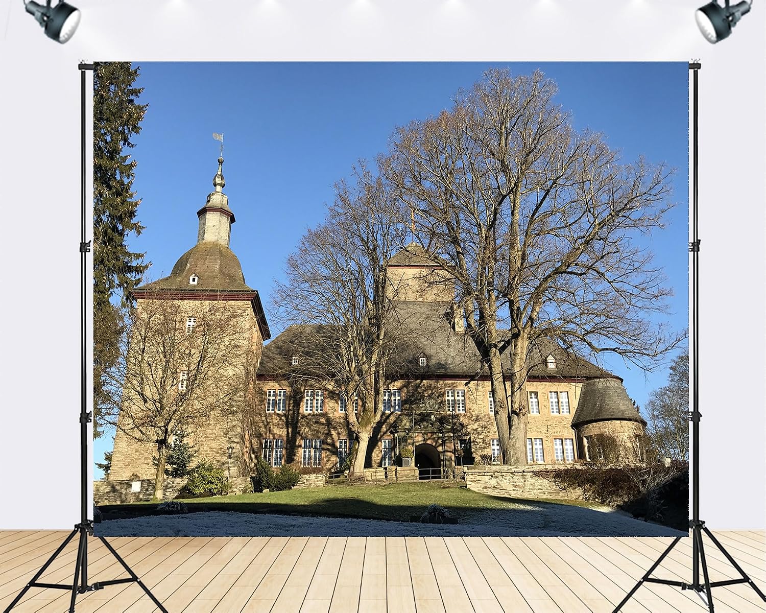 Trykid 20x10ft Historic Stone Castle Backdrop Clear Blue Sky Winter Trees Photography Background Heritage Travel Wedding Venue Tapestry Party Decoration Photo Studio Prop Fabric