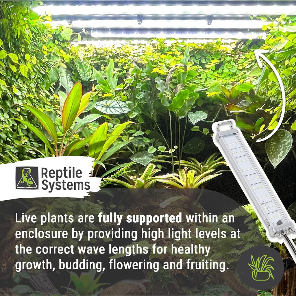 New Dawn LED Plant Lamp by Reptile Systems