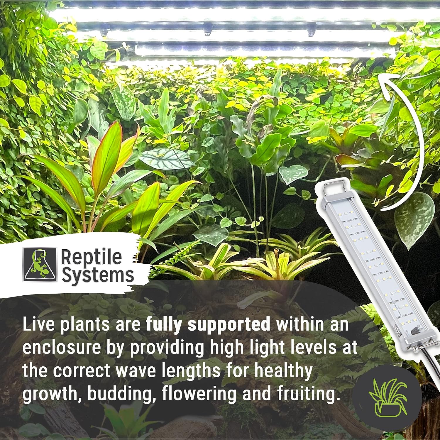 New Dawn LED Plant Lamp by Reptile Systems