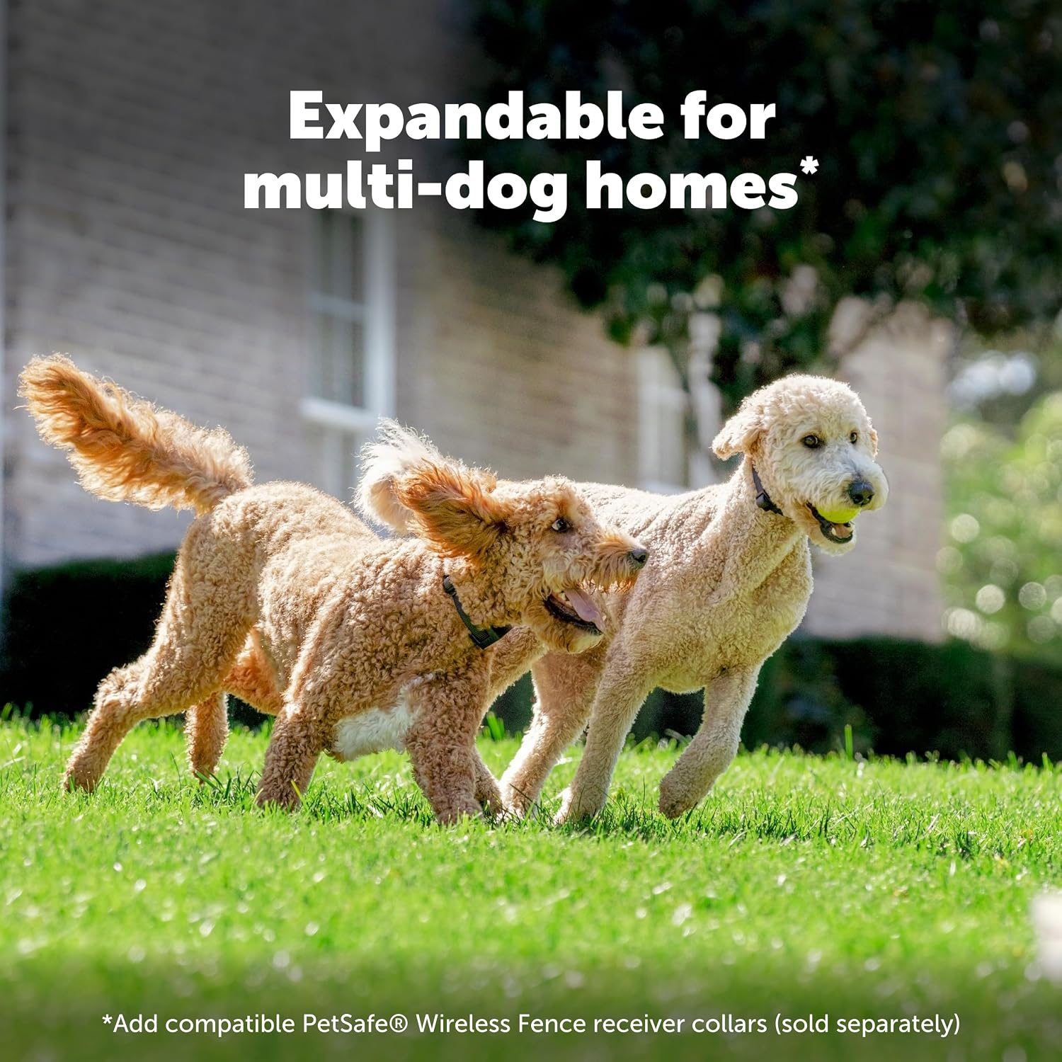 PetSafe Stay & Play Compact Wireless Fence, LCD Screen to Adjust the Circular Boundary, Secure up to 3/4 Acre Area, Use for All Your Pets, Portable System with 50 Extra Flags