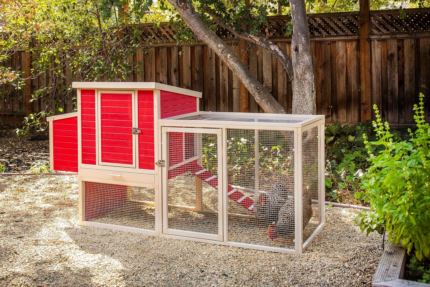 New Age Pet ECOFLEX Sonoma Chicken Coop in Red and Maple